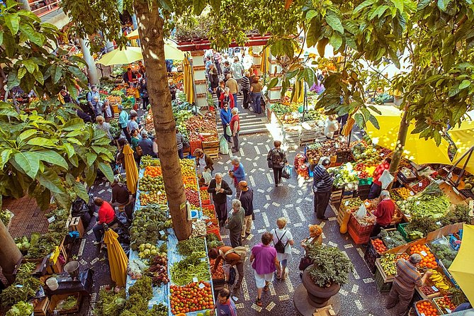 2-Hour Funchal City & Madeira Wine Experience - A tight highlights loop through Funchal in 2 to 3 hours