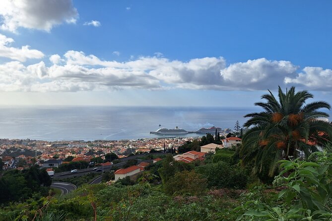 2-Hour Funchal City & Madeira Wine Experience - Zona Velha old town: door art, history, and small surprises