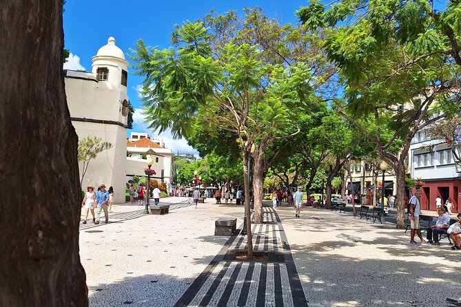 2-Hour Funchal City & Madeira Wine Experience - Price and value: what you actually get for $46.96