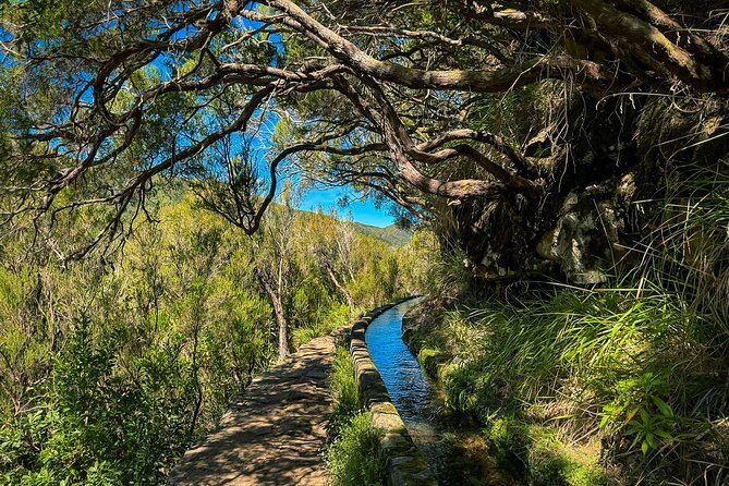 25 Fountains Levada: Hiking Tour in Madeira Rabaçal Valley (PR6) - What you actually get for the price (and what you should add)