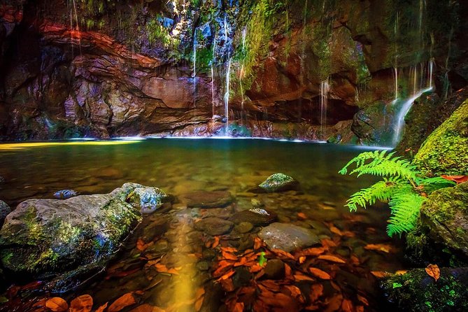 "25 Fountains" Walk / Lost In The Beautiful Forest - Key takeaways before you go