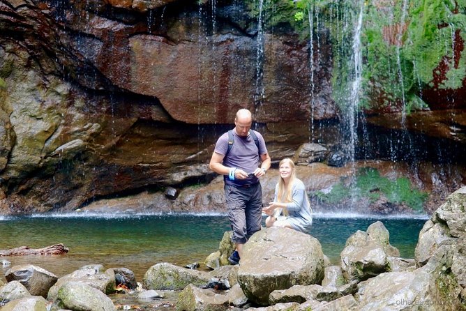 "25 Fountains" Walk / Lost In The Beautiful Forest - Price and value: what $54.07 includes, and what you pay at the trail