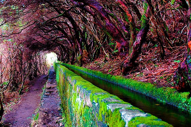 "25 Fountains" Walk / Lost In The Beautiful Forest - What to wear and bring for wet stone, steps, and tunnels