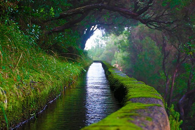 "25 Fountains" Walk / Lost In The Beautiful Forest - Reaching the levada of 25 sources and that cliff lake moment