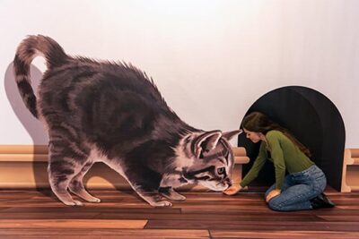 3D Fun Art Museum Funchal