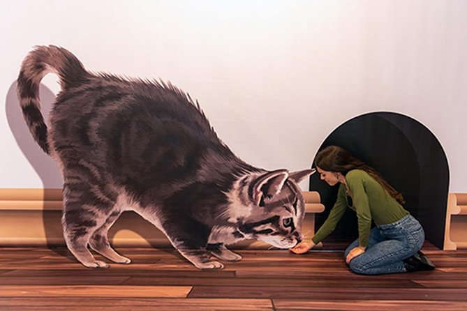 3D Fun Art Museum Funchal - Walking Into 40 Photo Illusions