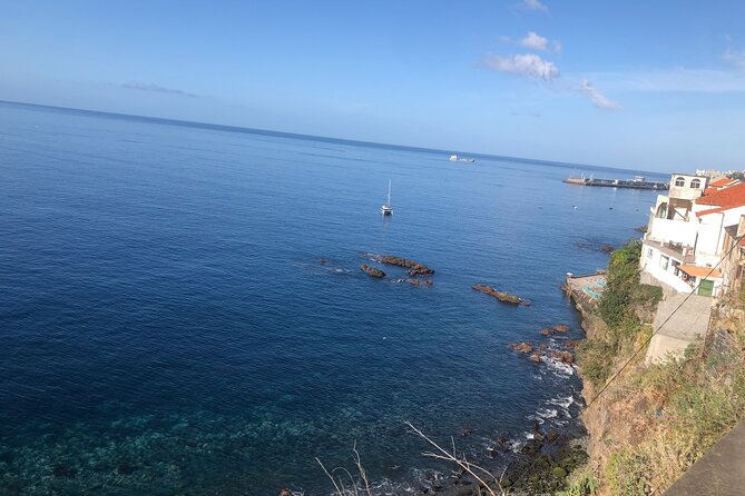 4 Hours Adventure Jeep Tour in Central Madeira Portugal - Stop 3: Miradouro da Boca dos Namorados for Flora, Fauna, and Facts