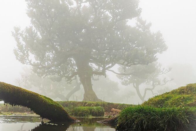 4x4 Jeep Tour to the West & Northwest of Madeira - Ribeira Brava: quick stop for Madeira’s farming heartbeat