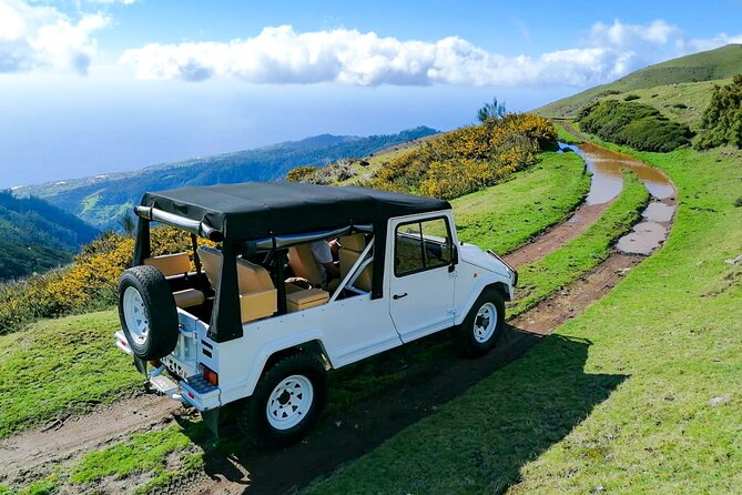 4x4 Jeep Tour to the West & Northwest of Madeira - Praia do Porto do Seixal: black sand beach with a green amphitheatre look