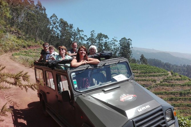 4x4 Safari Half day Poncha, Mountains, Vineyards and Cabo Girão Small group - Stop 1: Porto de Câmara de Lobos, fishing country to start