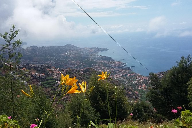 4x4 Safari Half day Poncha, Mountains, Vineyards and Cabo Girão Small group - Price and value: what $60.34 buys you in real terms