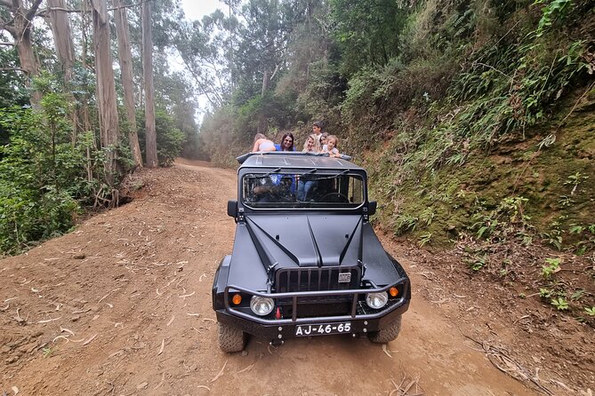 5 Hours Private tour To Porto Moniz, Rock pools, waterfalls - Entering Madeira’s Northwest by 4WD
