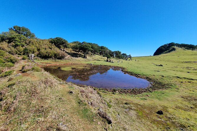 5 Hours Private tour To Porto Moniz, Rock pools, waterfalls - Porto Moniz natural swimming pools: volcanic rock swim, with a fee