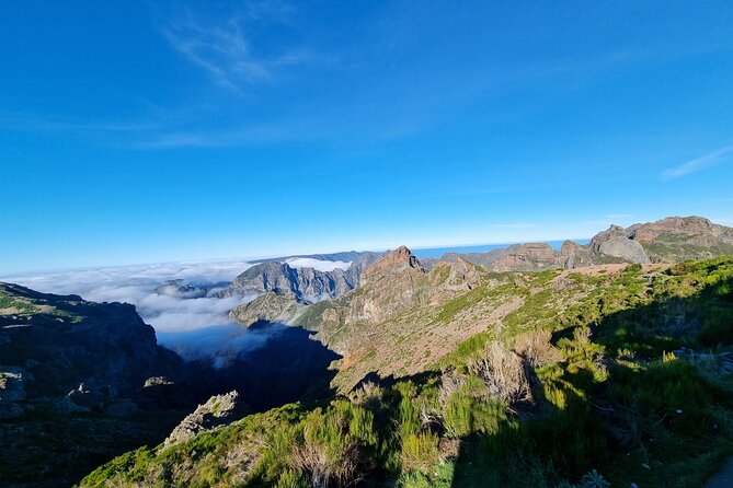 5 Hours Private Tour to Santana, Thatched houses - Price and Value: $266.07 Per Group Up to 5