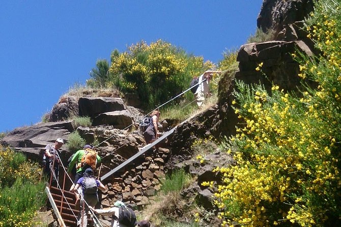 Achadas Teixeira- Pico Ruivo -& Pico pedras/Queimadas forest walk - What to pack, and how to hike smart for a 6-hour mountain day