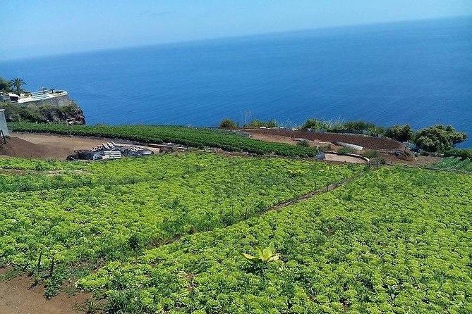 Agriculture Green Tour - Lunch Like a Local: Traditional Restaurant, Fresh Vegetables, Drinks