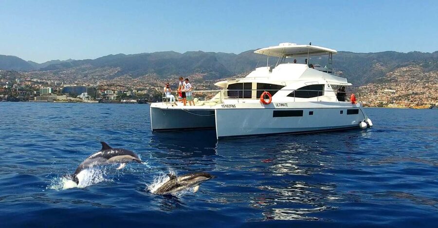 All Inclusive Whale and Dolphin Watching Luxury Tour - Key things that make this tour worth your attention