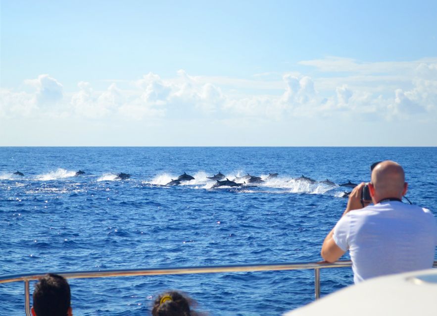 All Inclusive Whale and Dolphin Watching Luxury Tour - Getting on board: the easy start at Funchal’s marina