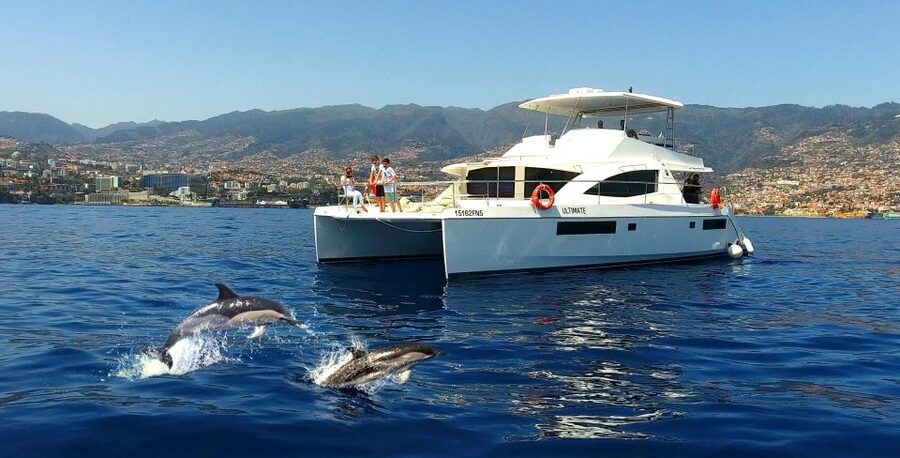 All Inclusive Whale and Dolphin Watching Luxury Tour - The 45 minutes of sailing plus a fun onboard stop