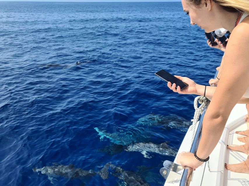 All Inclusive Whale and Dolphin Watching Luxury Tour - Cabo Girão: the signature cliff stop with swimming and photos