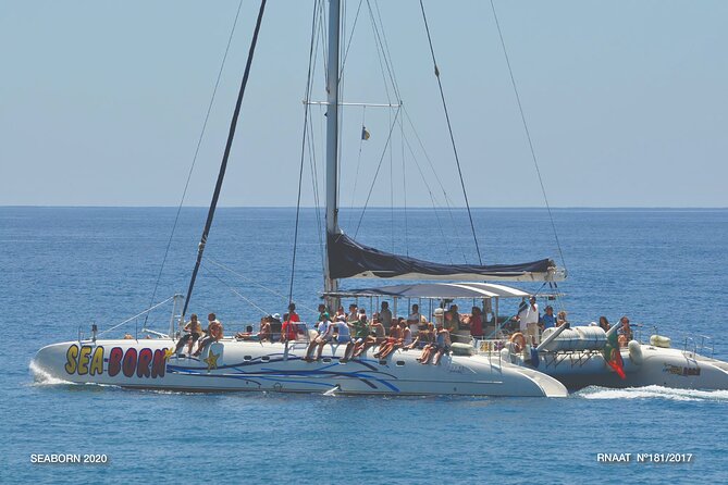 Amazing Skywalk, Wine Tasting & 4x4 Adventure + Dolphin Watching - Key highlights you will actually feel