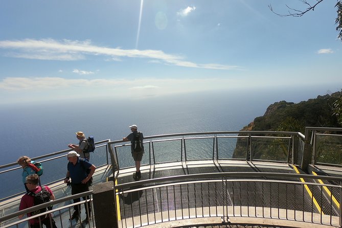 Amazing Skywalk, Wine Tasting & 4x4 Adventure + Dolphin Watching - Funchal Harbor catamaran time: dolphins, whales, and responsible viewing