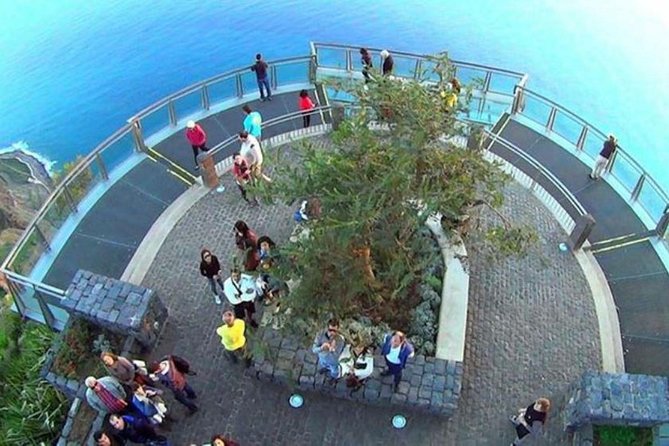 Amazing Skywalk, Wine Tasting & 4x4 Adventure + Dolphin Watching - Should you book this Madeira day trip?