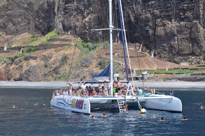 Amazing Skywalk, Wine Tasting & 4x4 Adventure + Dolphin Watching - The 4WD portion: wolf seals, steep roads, and Boca da Corrida