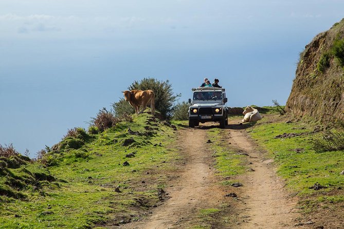 Amazing West - Jeep Safari Tour - Full Day - Shared Tour - Quick Highlights