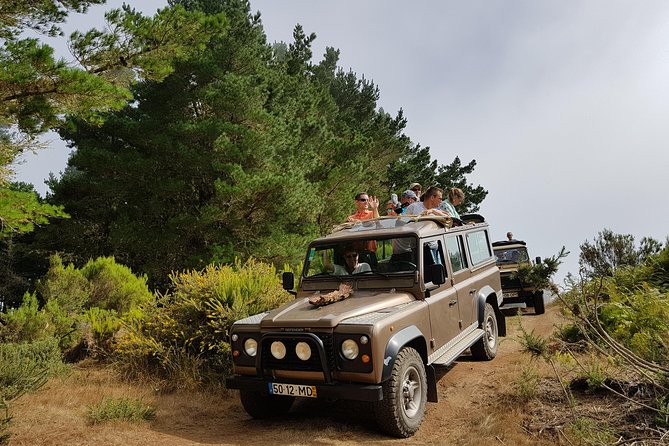 Arieiro Peak, Santo Serra, Cristo Rei in Open Roof 4x4 Experience - Pico do Arieiro (1,818 m): where clouds and cliffs meet