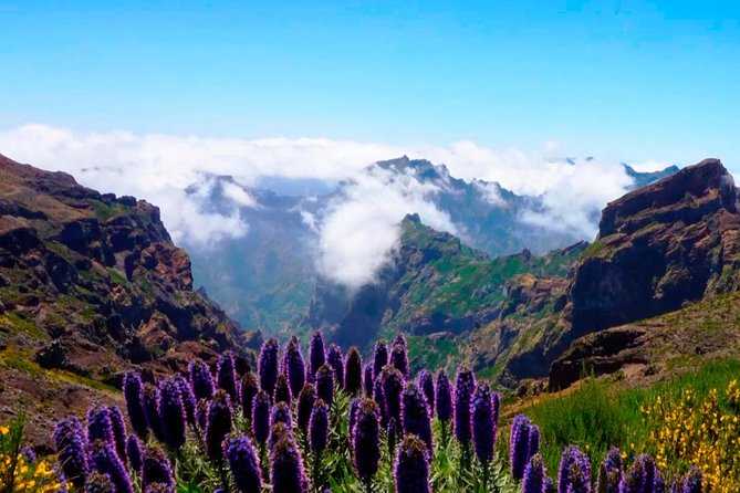 Arieiro Peak, Santo Serra, Cristo Rei in Open Roof 4x4 Experience - Santo Serra countryside time: a break from the main peaks