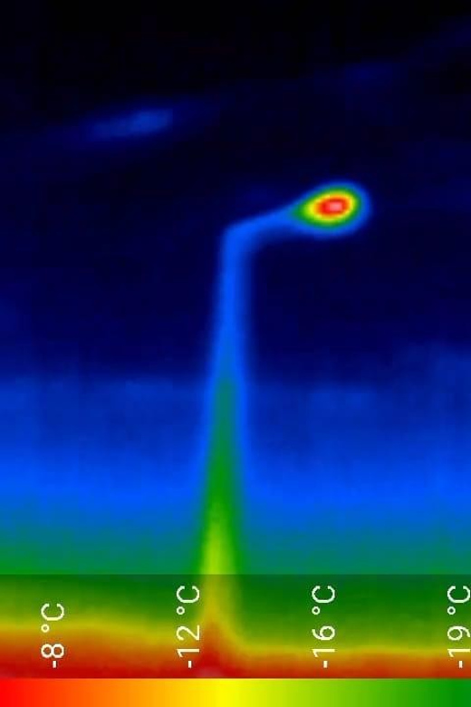 Bat Watching Madeira - Equipment Focus: Ultrasound Detectors and Thermal Cameras