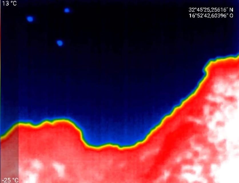 Bat Watching Madeira - Practical Tips: What to Bring for a Cold, Active Night