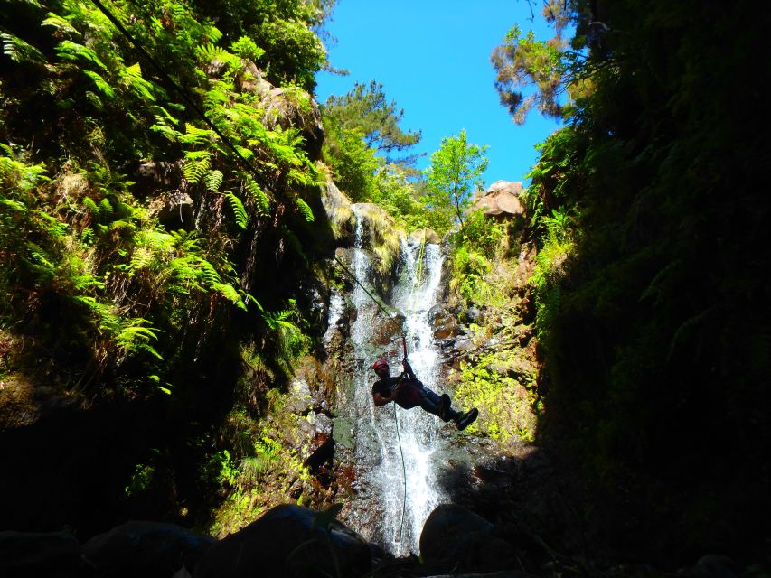 Beginner Canyoning Madeira - Madeira Canyon Canyoning, the Kind of Adventure You Can Actually Do