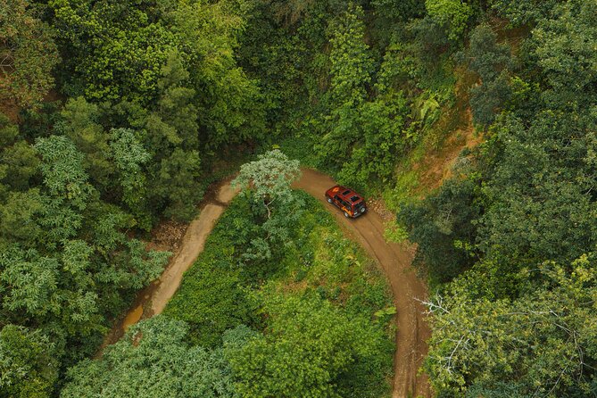 Bespoke adventure in Madeira with pick-up - Price and value: is it worth $457.56 per group?