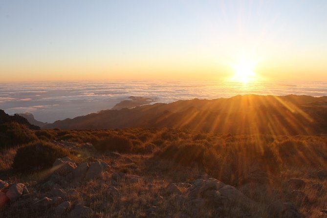 Best Sunrise (Private Tour) - Who operates it, and why the guide names pop up