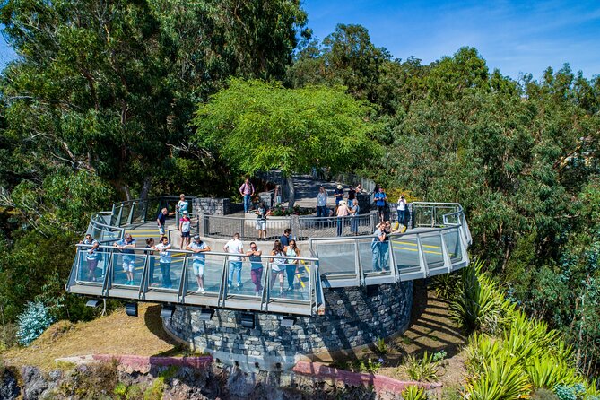 Bestselling Wine Tour, Tasting Experience & Skywalk 4x4 Adventure - The Cabo Girão cliff stop, including the skywalk entrance fee