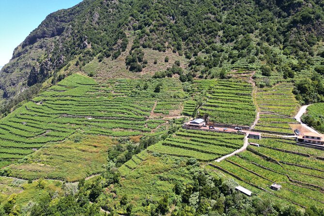 Bestselling Wine Tour, Tasting Experience & Skywalk 4x4 Adventure - The village loop that makes the tour feel like the real Madeira