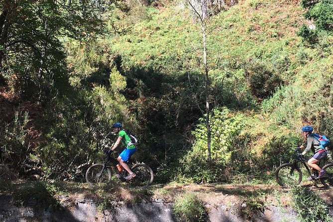 Botanical Trails of Madeira. Mountain biking Trail Experience - Poiso to Levadas: How the Tour Sets You Up for Success