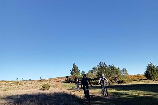 Botanical Trails of Madeira. Mountain biking Trail Experience - Bike Setup, Guide Work, and What Makes This Feel Private