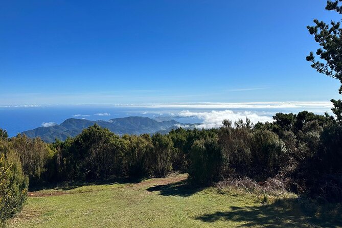 Botanical Trails of Madeira. Mountain biking Trail Experience - Price and Value: What $96.12 Buys You on a Madeira Ride