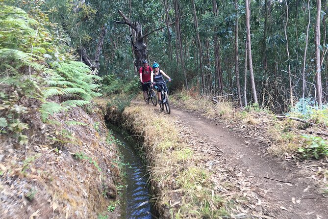 Botanical Trails of Madeira. Mountain biking Trail Experience - Practical Tips for a Smooth Day on Madeira Trails