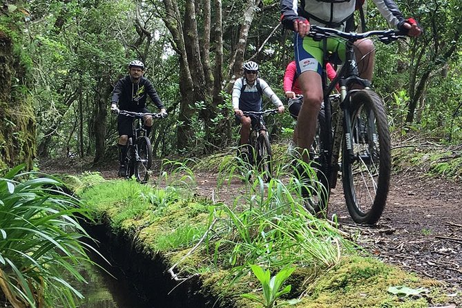 Botanical Trails of Madeira. Mountain biking Trail Experience - Camacha Stop and the Final Descent With Ocean Views