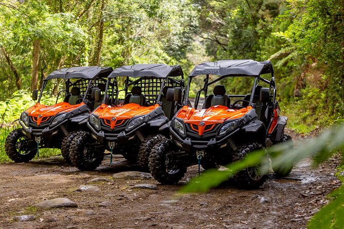 Buggy Adventure in Madeira off Road - Why the Provided Gear Makes or Breaks This Ride