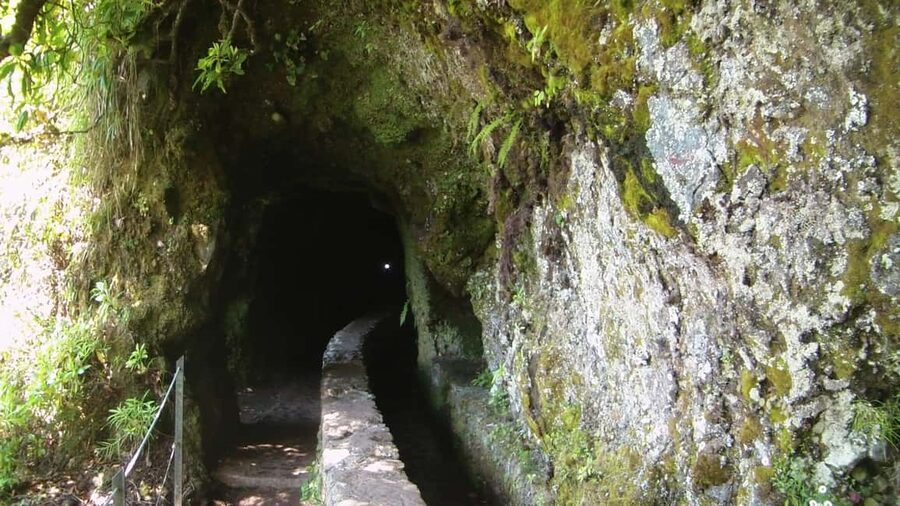 Caldeirão Verde: Levada Caldeirao Verde Hiking Transfer - Price and Value: What $39 Really Buys You