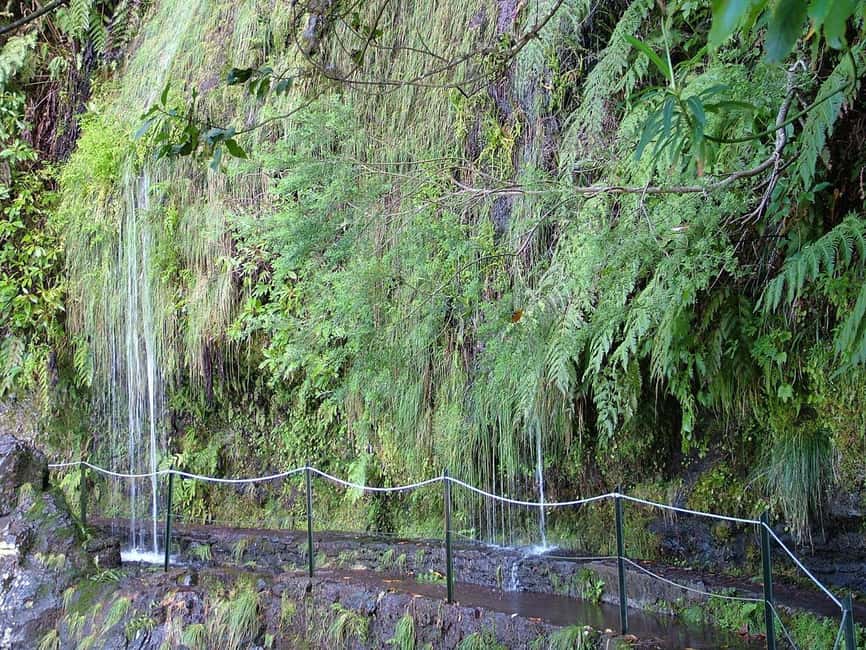 Caldeirão Verde: Levada Caldeirao Verde Hiking Transfer - The Levada Trail Experience: Green Views One Side, Water Noise the Other