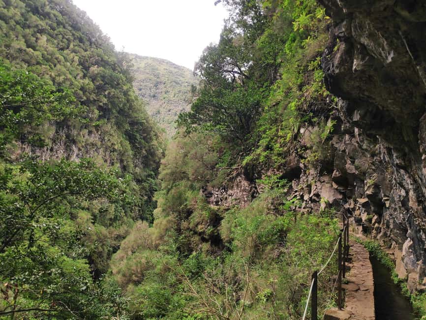 Caldeirão Verde: Levada Caldeirao Verde Hiking Transfer - Waterfalls, a Possible Swim, and the End-of-Walk Payoff