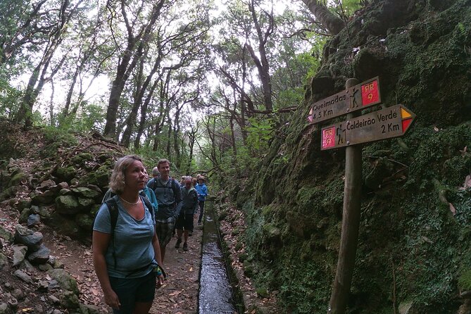 Caldeirão Verde Levada (PR 9) - Guided Madeira Levada Walk - Caldeirão Verde: why PR9 feels special on Madeira