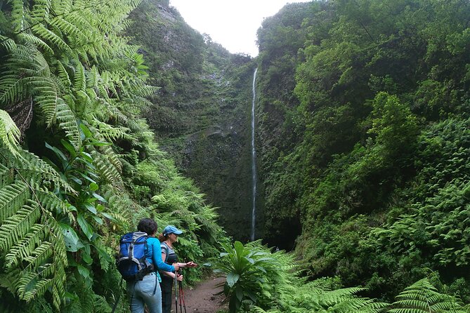 Caldeirão Verde Levada (PR 9) - Guided Madeira Levada Walk - Tunnels, narrow walkways, and why you should bring your headlamp
