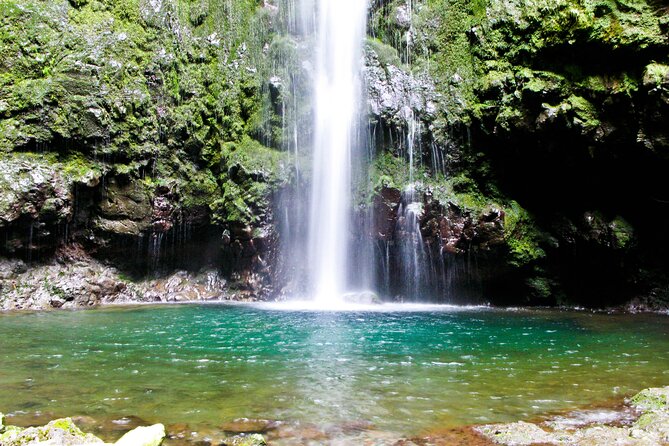 Caldeirão Verde Levada (PR 9) - Guided Madeira Levada Walk - The pacing reality: great guides, but sometimes a rushed return